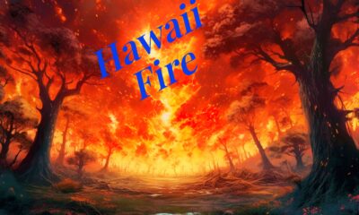 hawaii fire